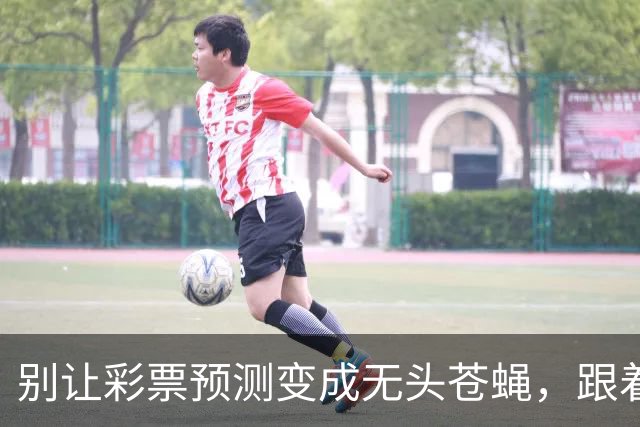 别让彩票预测变成无头苍蝇，跟着小炮学飞！