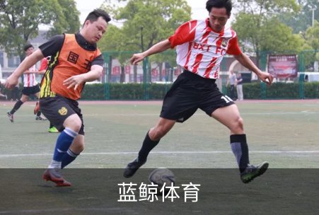 蓝鲸体育简介